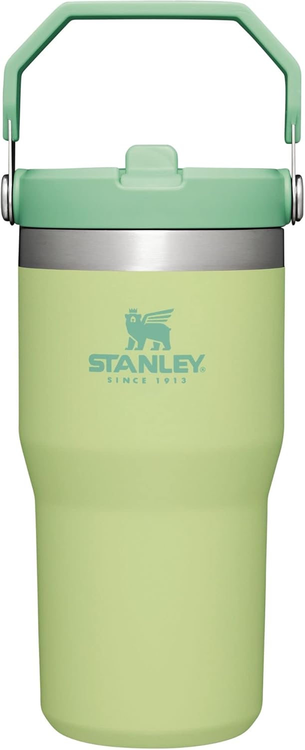 Stanley Water Bottle Tumbler with Straw Insulated Stainless Steel 590ml