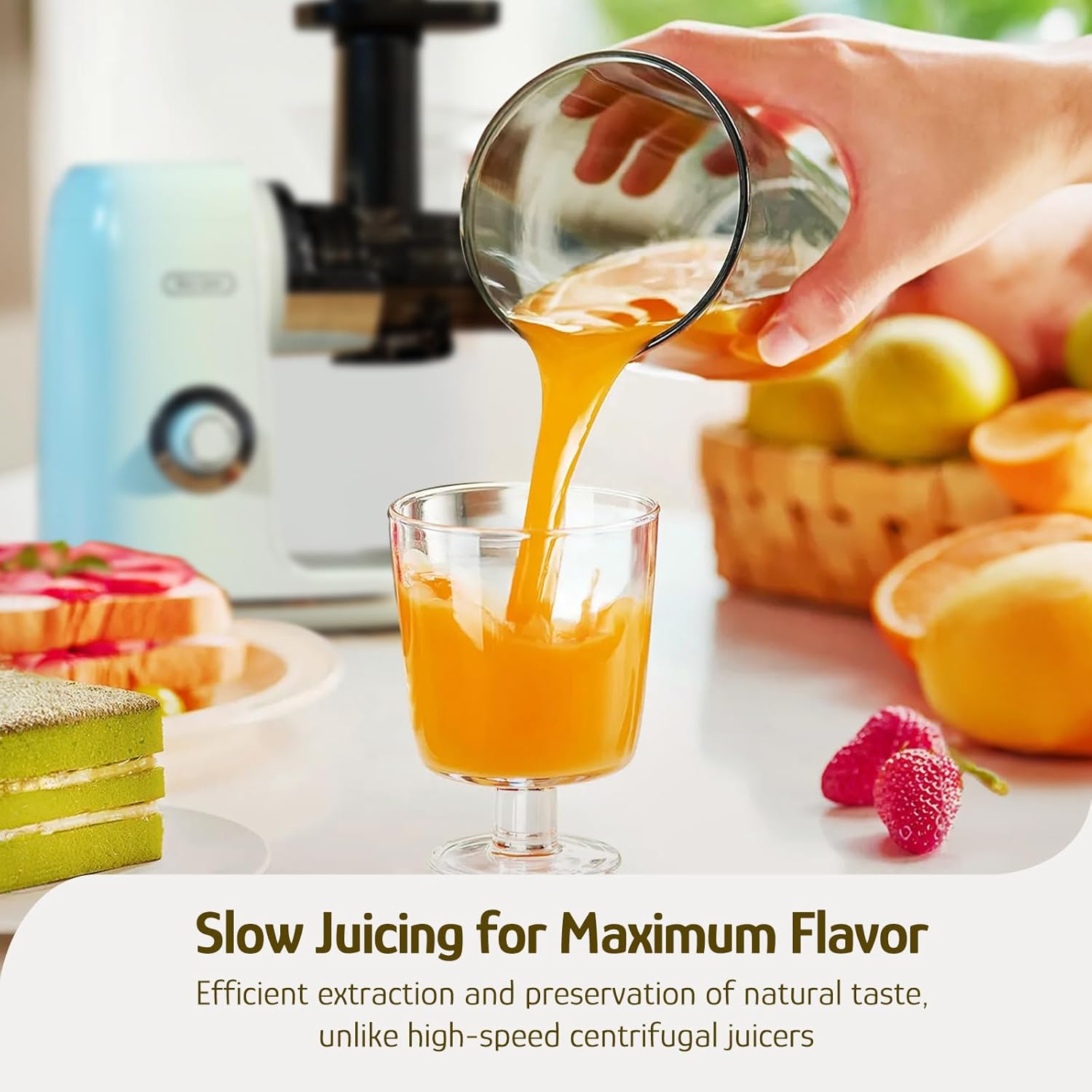 Hazel Quinn Masticating Juicer Cold Press 2 Speed Control Quiet Operation